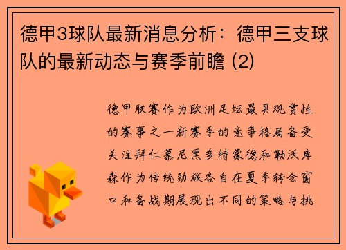 德甲3球队最新消息分析：德甲三支球队的最新动态与赛季前瞻 (2)